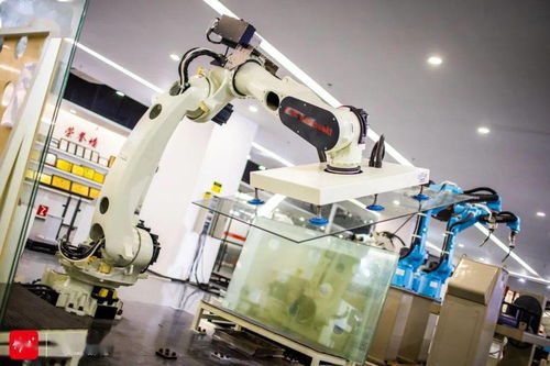 打造千億級機(jī)器人產(chǎn)業(yè)集群,順德憑什么能